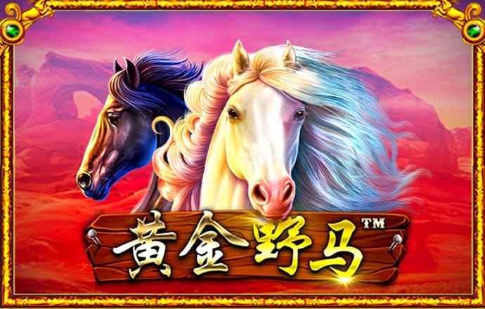黄金网软件app大全下载